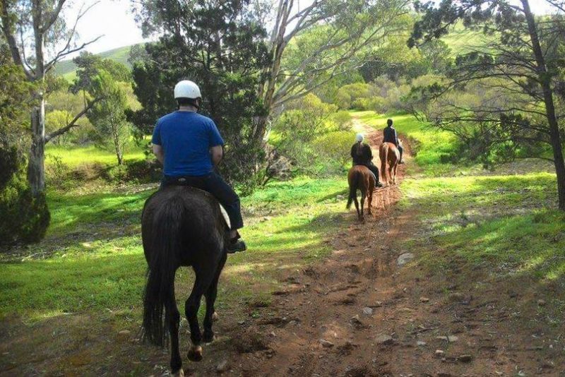 View the River from horse back